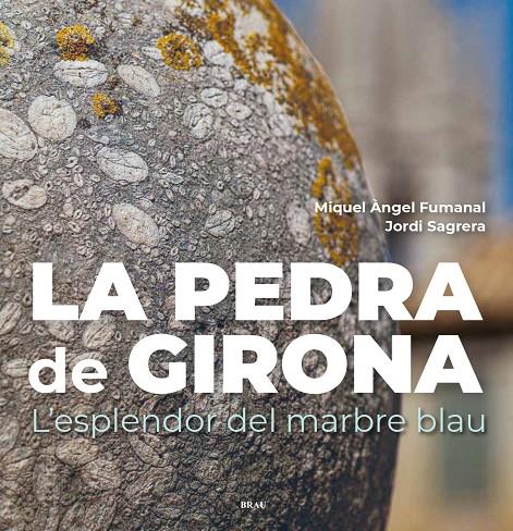 La pedra de Girona | 9788418096457 | Fumanal Pagès, Miquel Àngel / Sagrera Aradilla, Jordi