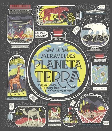 EL MARAVELLÓS PLANETA TERRA | 9788491378778 | Ignotofsky, Rachel