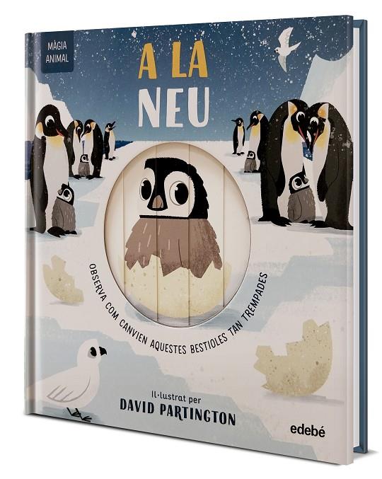 MÀGIA ANIMAL: A LA NEU | 9788468372150 | Clark, Neil / Stone, Harriet