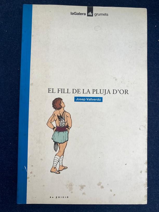 El fill de la pluja d'or | 9788424681234 | Vallverdú i Aixalà, Josep