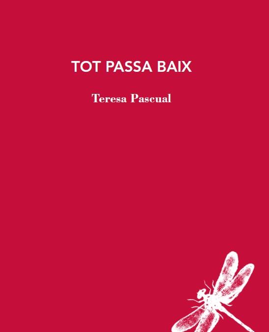 Tot passa baix | 9788412577426 | Pascual, Teresa