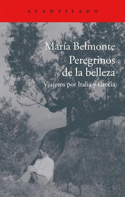 Peregrinos de la belleza | 9788416011513 | Belmonte Barrenechea, María