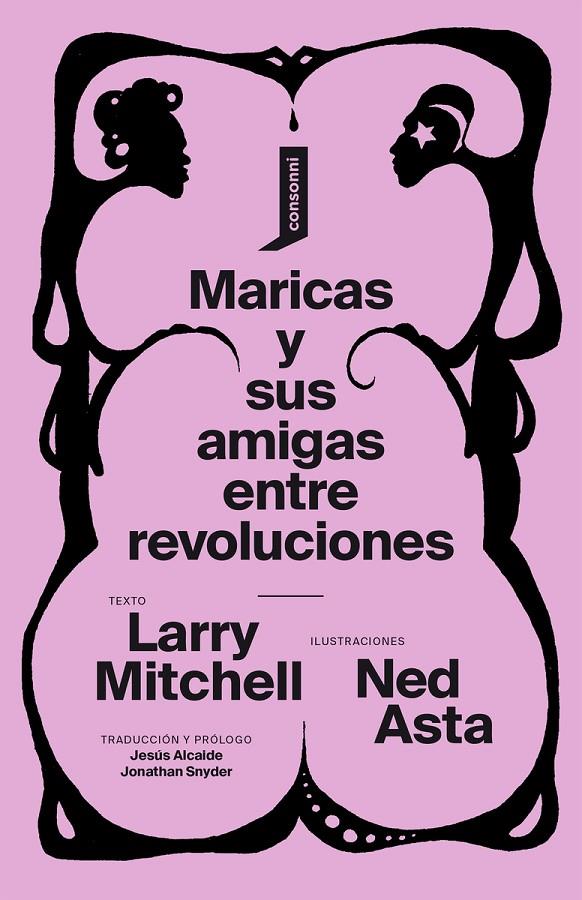 Maricas y sus amigas entre revoluciones | 9788416205769 | ASTA, NED;MITCHELL, LARRY