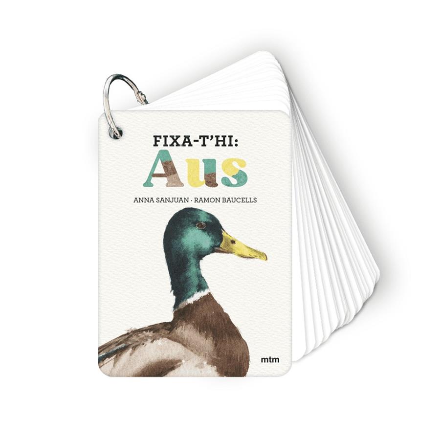 Fixa-t'hi: aus | 9788410407640 | Sanjuan Llorens, Anna / Baucells Colomer, Ramon
