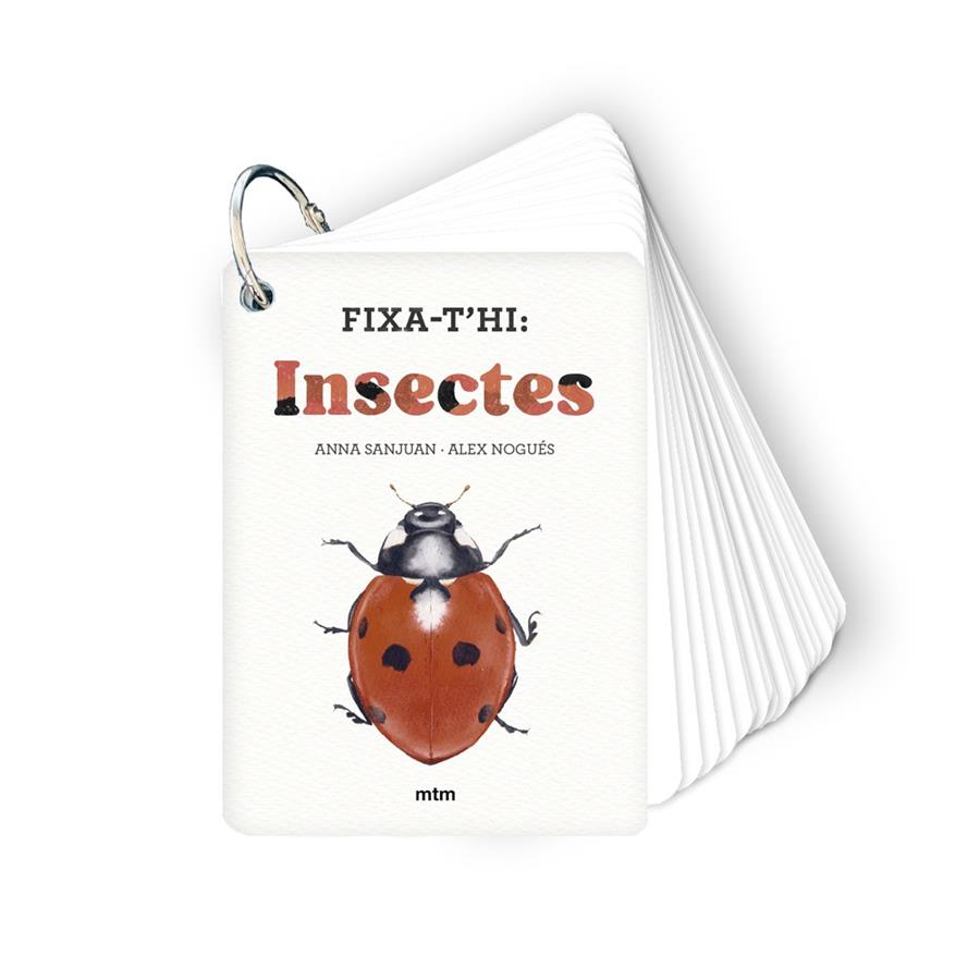 Fixa-t'hi: insectes | 9788410407213 | Sanjuan Llorens, Anna / Nogués Otero, Alex