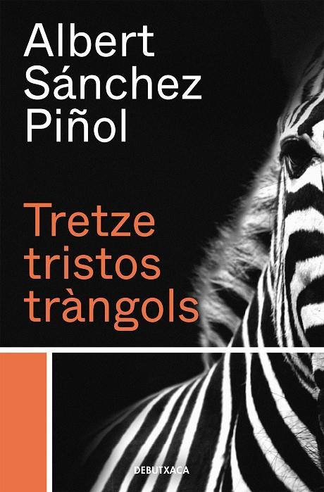 Tretze tristos tràngols | 9788418132384 | SANCHEZ PIÑOL, ALBERT