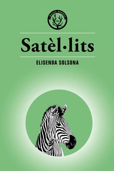 Satèl·lits | 9788494917073 | Solsona, Elisenda