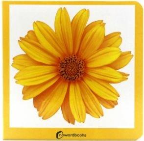 Amarillo | 9788412534429 | , Nowordbooks