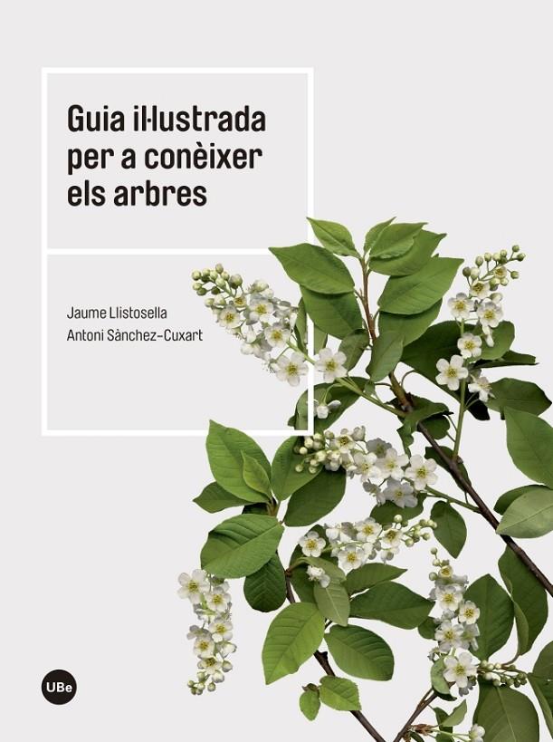 GUIA IL·LUSTRADA PER CONÈIXER ELS ARBRES | 9788447542444 | Llistosella Vidal, Laume;Sánchez, Antoni