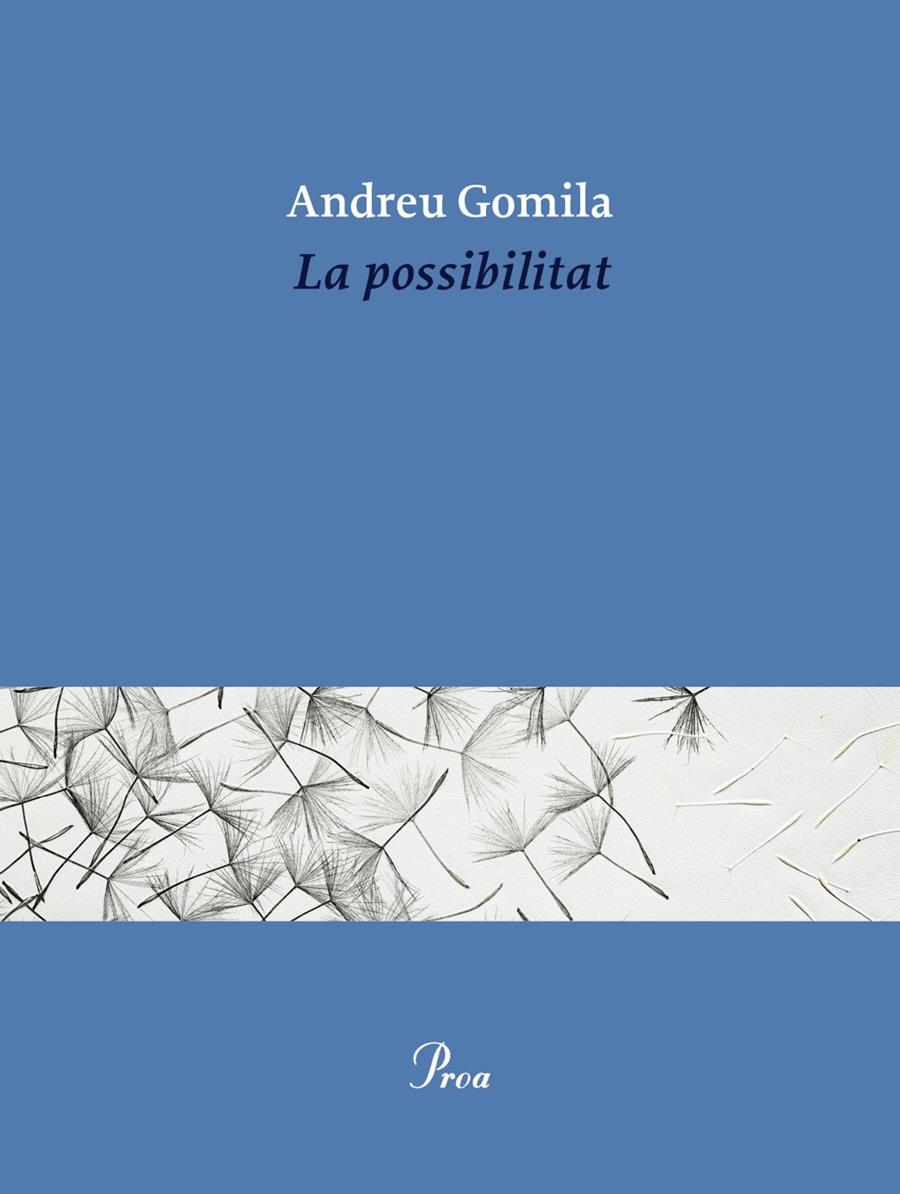 La possibilitat | 9791388369155 | Gomila Llobera, Andreu