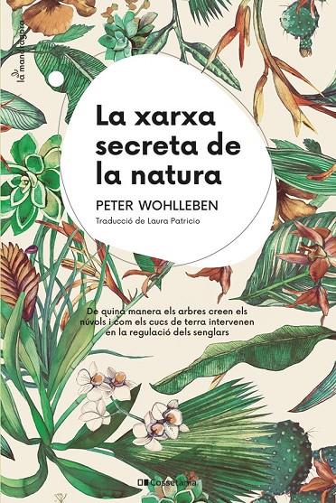 La xarxa secreta de la natura | 9788413562872 | Wohlleben, Peter