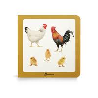 Tres pollitos | 9791399054231 | , Nowordbooks / AA.VV., AA.VV.