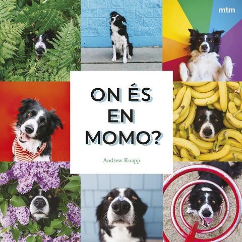 On és en Momo? | 9788410407893 | Knapp, Andrew