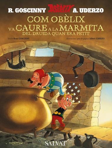 COM OBELIX VA CAURE A LA MARMITA DEL DRUIDA QUAN E | 9788421683309 | Goscinny, René