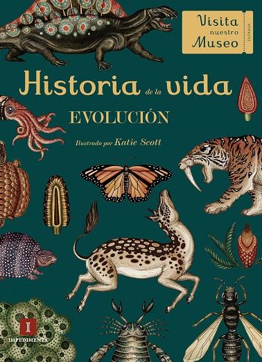 Historia de la vida | 9788417115425 | Scott, Katie;