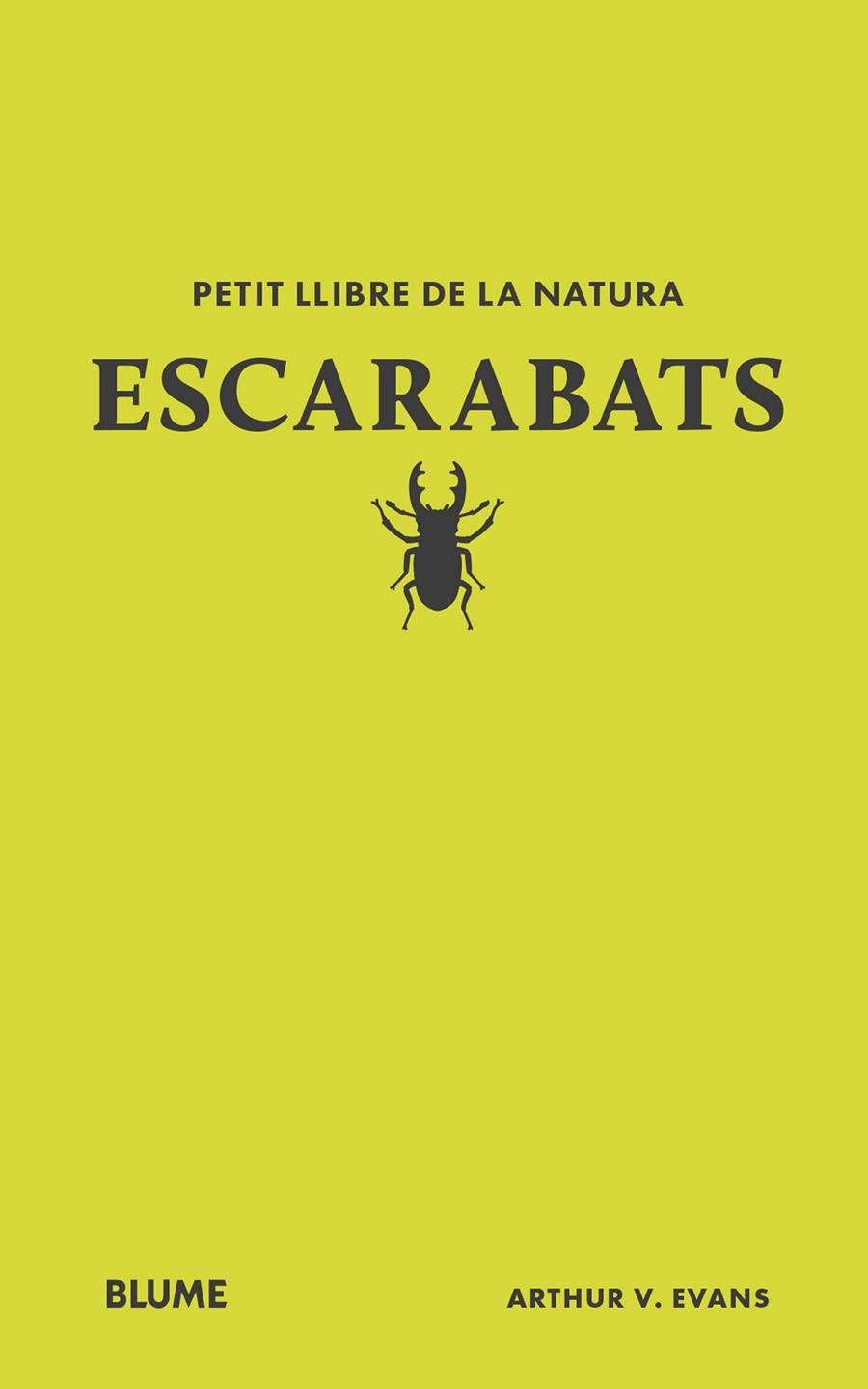 Petit llibre de la natura. Escarabats | 9788410268746 | Evans, Arthur V