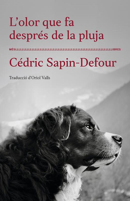 L'olor que fa després de la pluja | 9788417353568 | Sapin-defour, Cedric