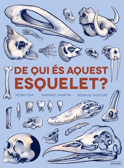 De qui és aquest esquelet? | 9788494731860 | Cap, Henri / Martín, Raphaël