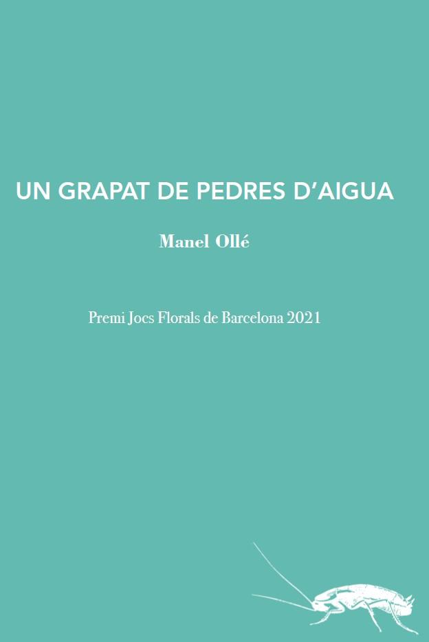 Un grapat de pedres d'aigua | 9788412328974 | Ollé, Manel