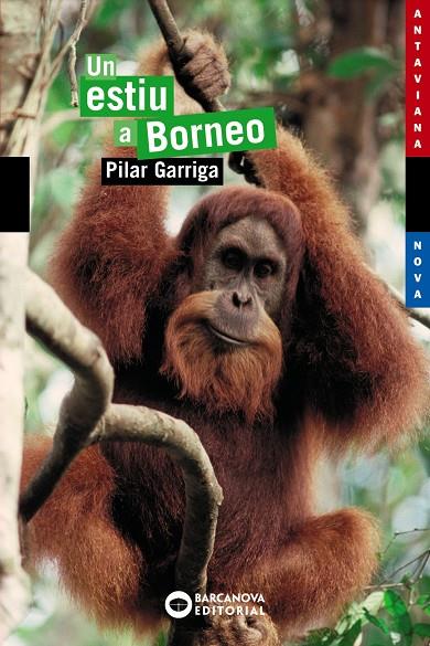 Un estiu a Borneo | 9788448921071 | Garriga, Pilar