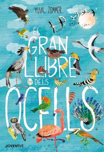 El gran llibre dels ocells | 9788426145840 | Zommer, Yuval