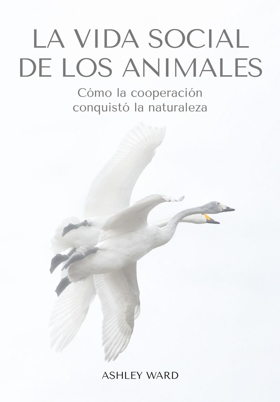 La vida social de los animales | 9788412645491 | Ward, Ashley