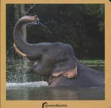 Los Animales Salvajes | 9788494295614 | AA. VV.