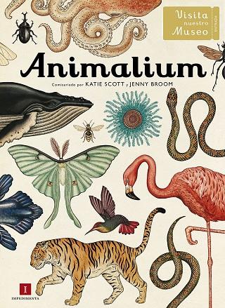 Animalium. | 9788415979463 | Bromm, Jenny/Scott, Katie