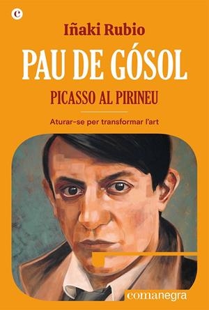 Pau de Gósol. Picasso al Pirineu | 9788419590404 | Rubio, Iñaki