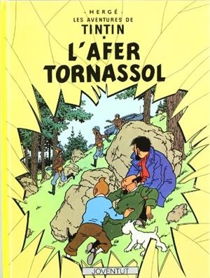 L'AFER TORNASSOL | 9788426110602 | Remi, Georges