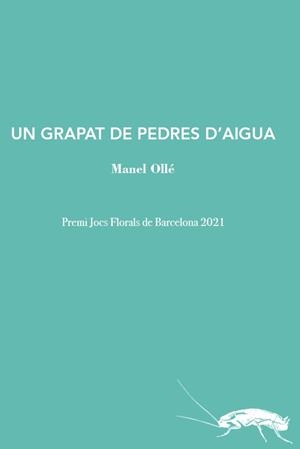 Un grapat de pedres d'aigua | 9788412328974 | Ollé, Manel