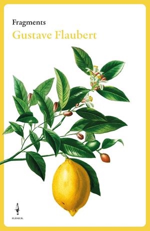 Fragments Gustave Flaubert | 9788409684007 | Flaubert, Gustave