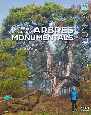 Rutes per descobrir arbres monumentals | 9788482168197 | Barba Villaraza, Cesar