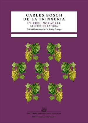 L'hereu Noradell | 9788416726615 | Bosch de la Trinxeria, Carles