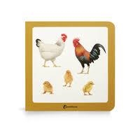 Tres pollitos | 9791399054231 | , Nowordbooks / AA.VV., AA.VV.