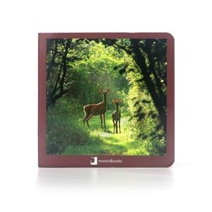 Los Animales del Bosque | 9788494174599 | , Nowordbooks