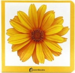 Amarillo | 9788412534429 | , Nowordbooks