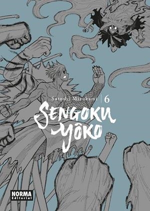 SENGOKU YOKO 06 | 9788467972627 | , SATOSHI MIZUKAMI