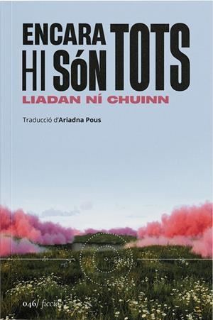 Encara hi són tots | 9788419059598 | Ni Chuinn, Liadan