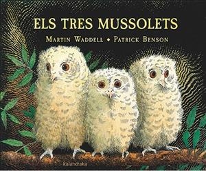 Els tres mussolets | 9788416804191 | Waddell, Martin